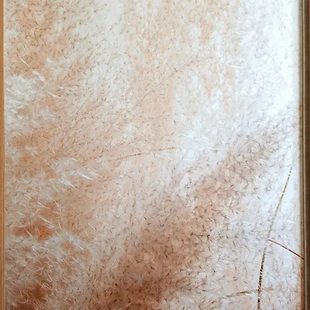 Appartement Ladevesa